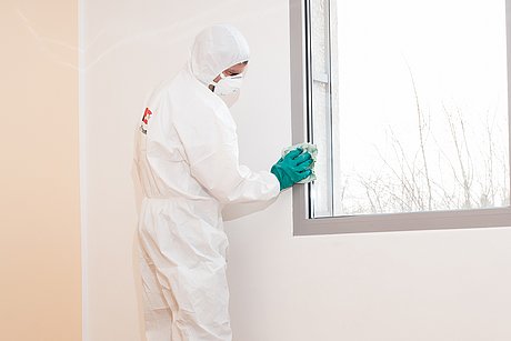 Remove and dispose of mould-infested material