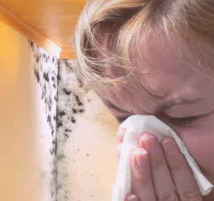 Schimmel in Wohnräumen kann Allergien auslösen