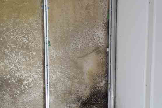 Schimmel an der Wand