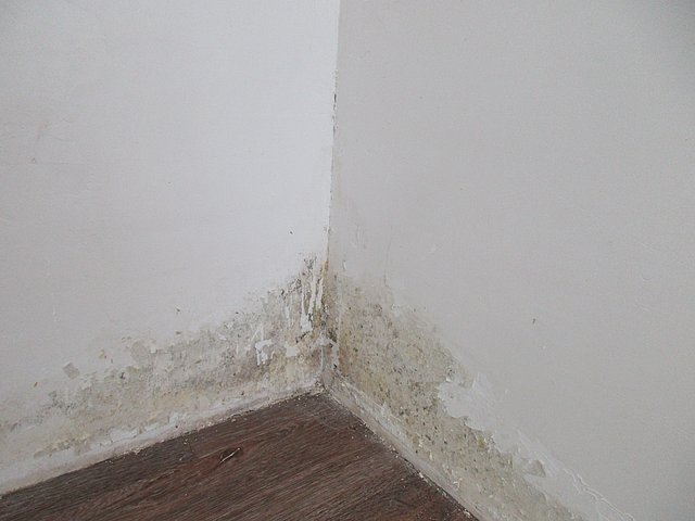 Schimmelpilzbefallene Außenwandecke Beim Analysetermin konnte man feuchte und schimmelpilzbefallene Wandbereiche sehen