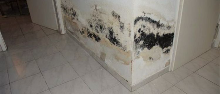 Feuchtigkeit Im Haus Was Ist Daran So Gefahrlich Fur Uns