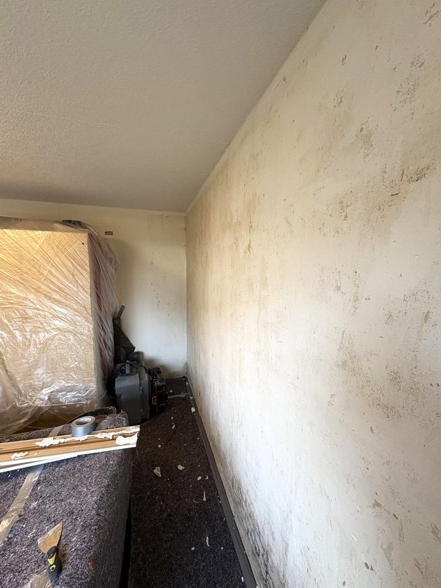 Verschmutzte Zimmerwand mit abblätternden Farbspuren, Schutzfolie und Werkzeug im Vordergrund