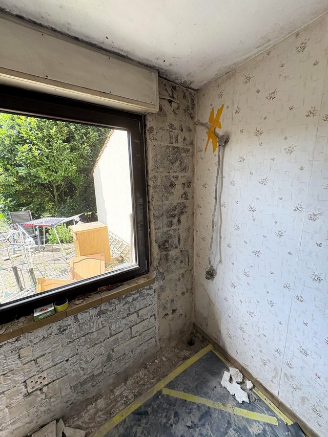 Schimmelbefall an Zimmerecke neben Fenster, freigelegtes Mauerwerk und Tapete
