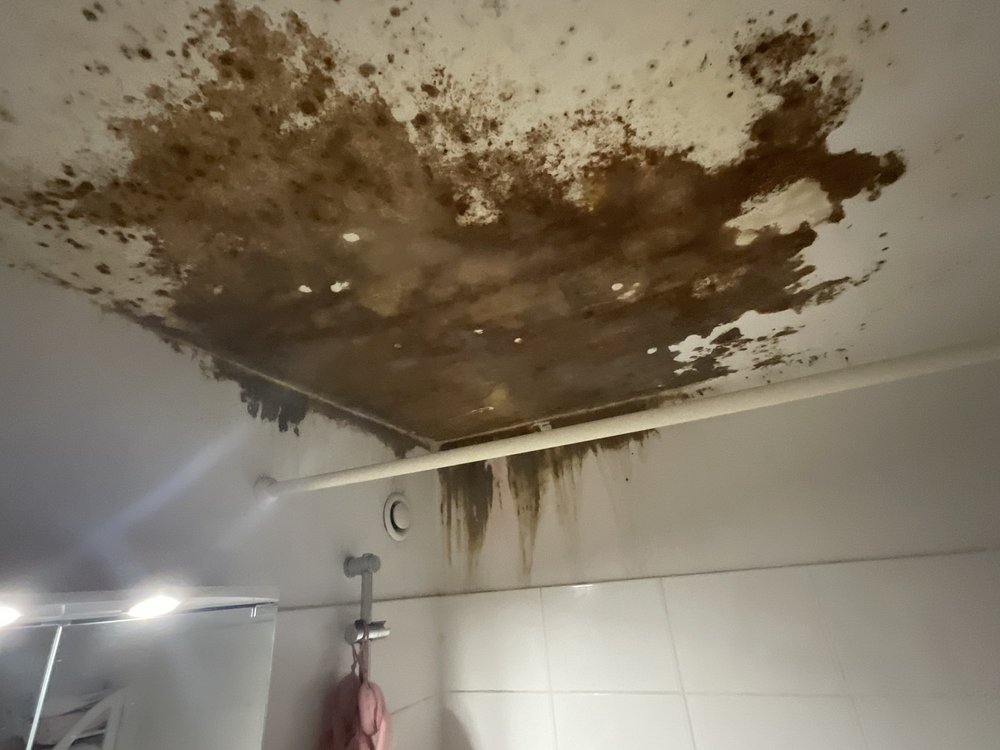 Dunkle Feuchteschäden und großflächiger Schimmel an Badezimmerdecke, Nahaufnahme