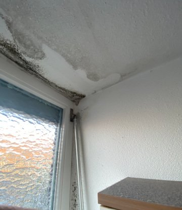 ISOTEC Allgäu kümmert sich um Schimmelbefall an Fensterlaibung und Badezimmerdecke