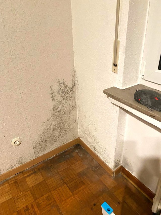 Schwarze Flecken an weißer Zimmerecke über Holzfußleiste neben Fensterbank.
