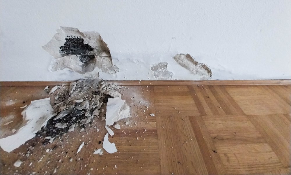 Abplatzender Wandputz nahe Sockelleiste, dunkle Flecken und Putzbruch auf Parkett.