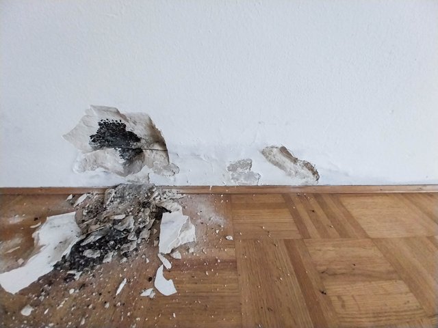 Abplatzender Wandputz nahe Sockelleiste, dunkle Flecken und Putzbruch auf Parkett.