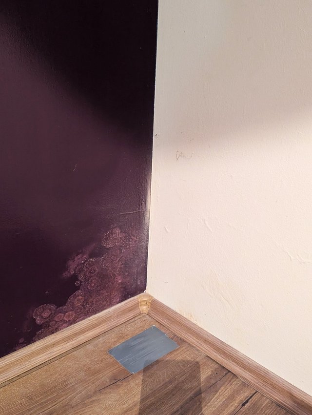 Dunkle Wand mit fleckigem Belag in der Ecke über Holzfußboden und Sockelleiste