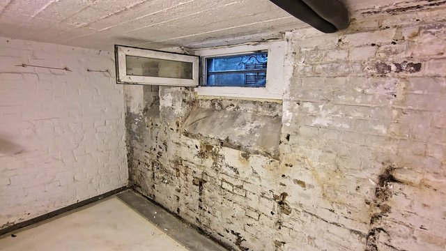Verschmutzte Kellerwand aus Mauerwerk mit feuchten Flecken und Abplatzungen unter Fenster