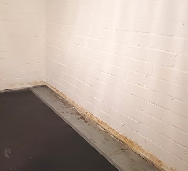 Feuchte Kellerwand mit Verfärbungen am Sockelbereich