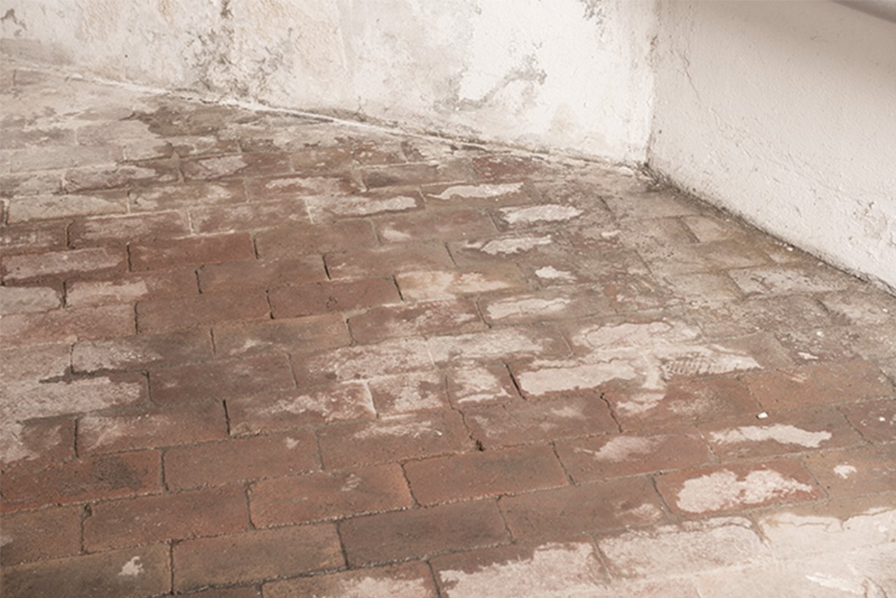 ISOTEC cellar floor renovation Cause Damp cellar floors