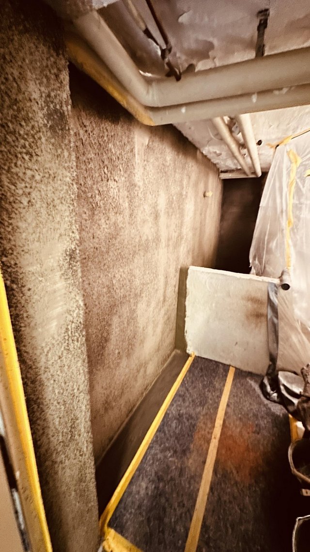 Dunkle Verfärbungen an Kellerwand, Rohre an der Decke, Boden abgeklebt.