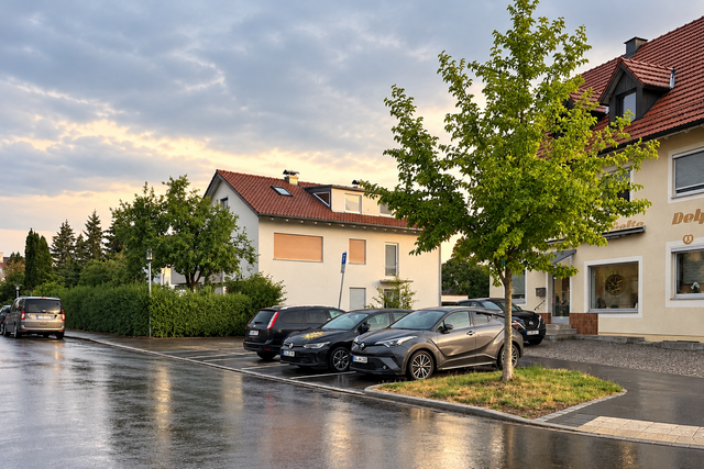 Nasse Straße mit parkenden Autos neben jungem Baum vor cremefarbenem Haus mit rotem Ziegeldach