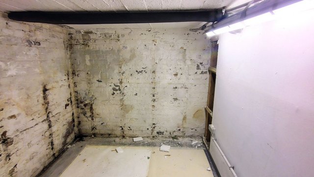 Kellerraum mit fleckiger Ziegelwand und bröckelndem Boden, Neonröhre an Decke