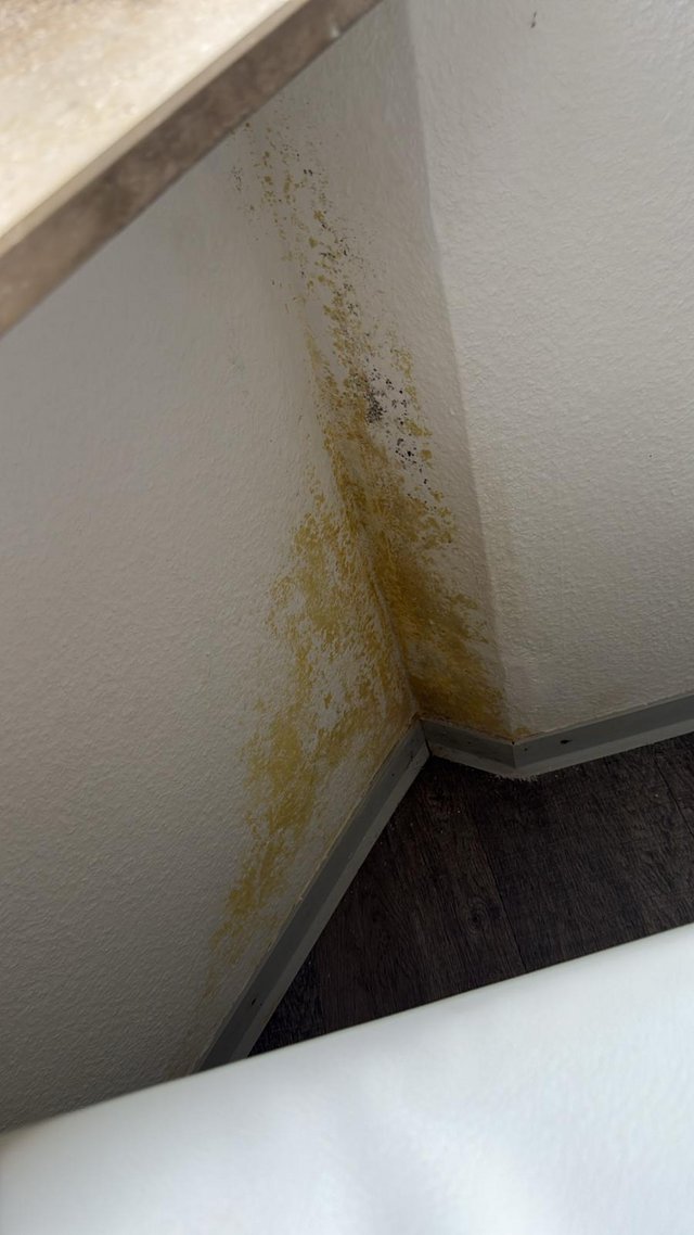 Gelbliche Verfärbungen und dunkle Flecken an Zimmerecke über Sockelleiste