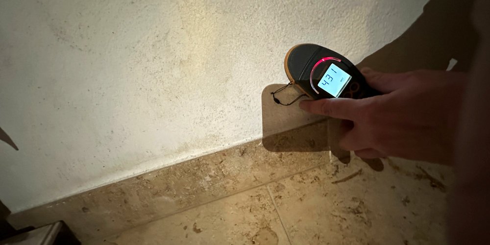 Feuchte Wände im Altbau aufgrund eindringender Feuchte
