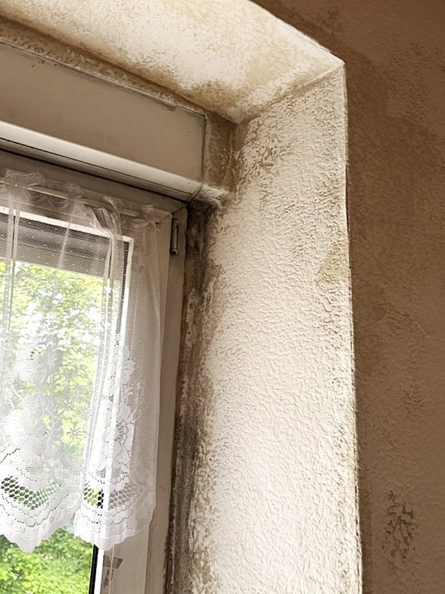 Dunkle Verfärbungen an Fensterlaibung und Rahmenkante, Innenraum-Nahaufnahme