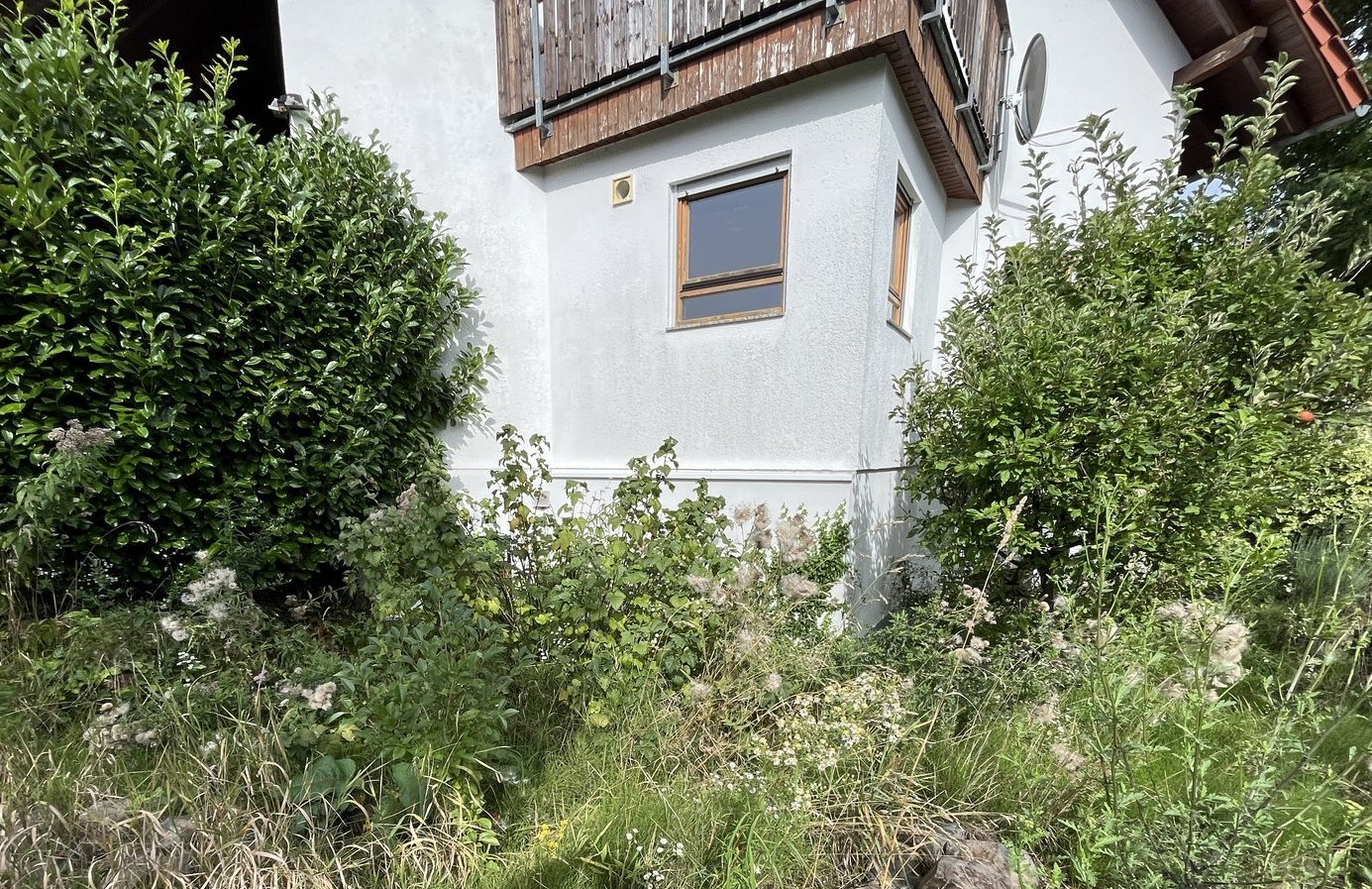 Verwilderter Garten mit Sträuchern und hohem Gras vor Hausfassade mit Fenster.