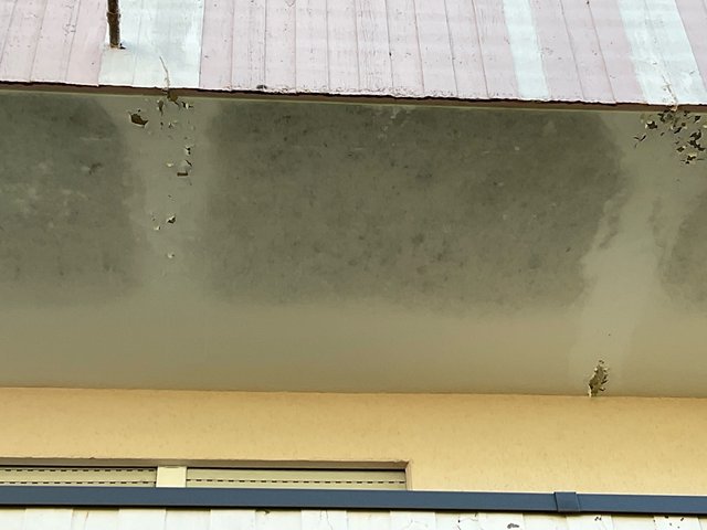 Feuchte Flecken und abblätternde Beschichtung an Balkonunterseite