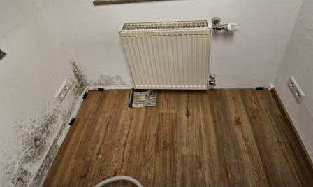 Schimmelbefall an Wand unter Heizkörper über Holzboden