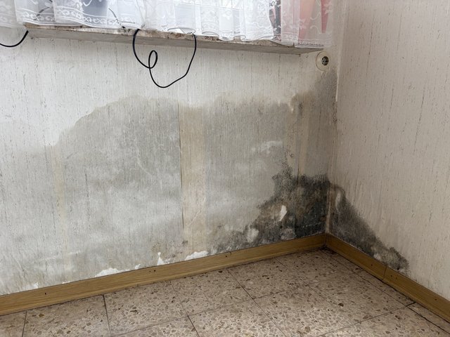 Feuchte Wand mit schwarzem Schimmelbefall in der Zimmerecke unter dem Fenster