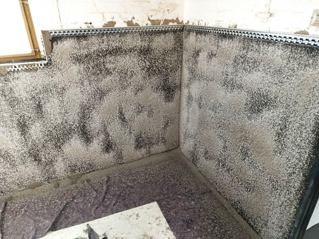 Schwarzer Schimmelbefall auf Wänden in Raumecke, Nahaufnahme