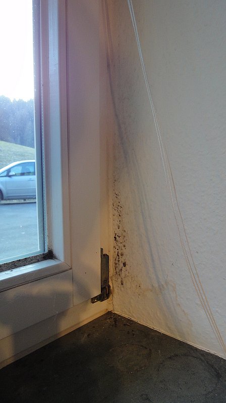Auch im Sommer gibt es Schimmelgefahr