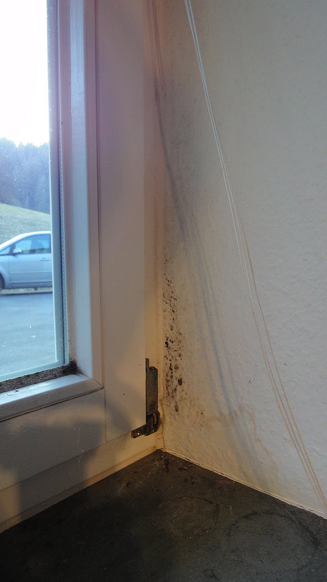 Schimmelspuren an Fensterlaibung neben Fensterrahmen