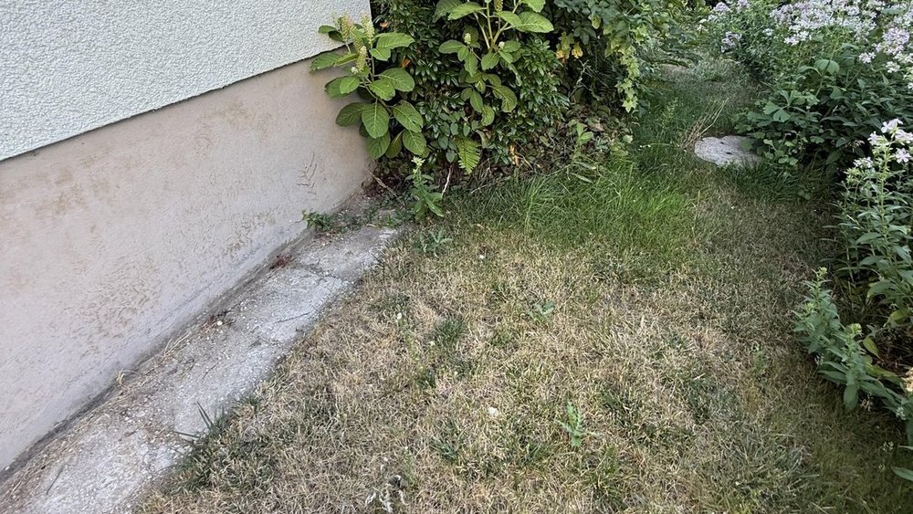 Ausenabdichtung Trebur Isotec Wiesbaden Vorher