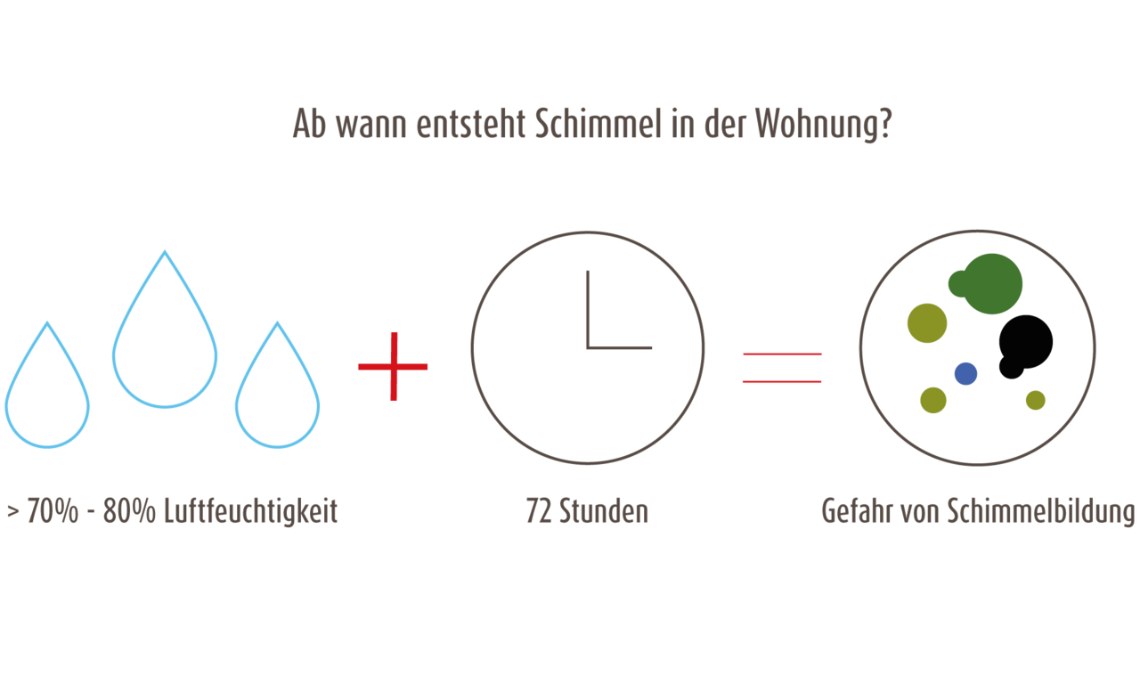Wie entsteht Schimmel