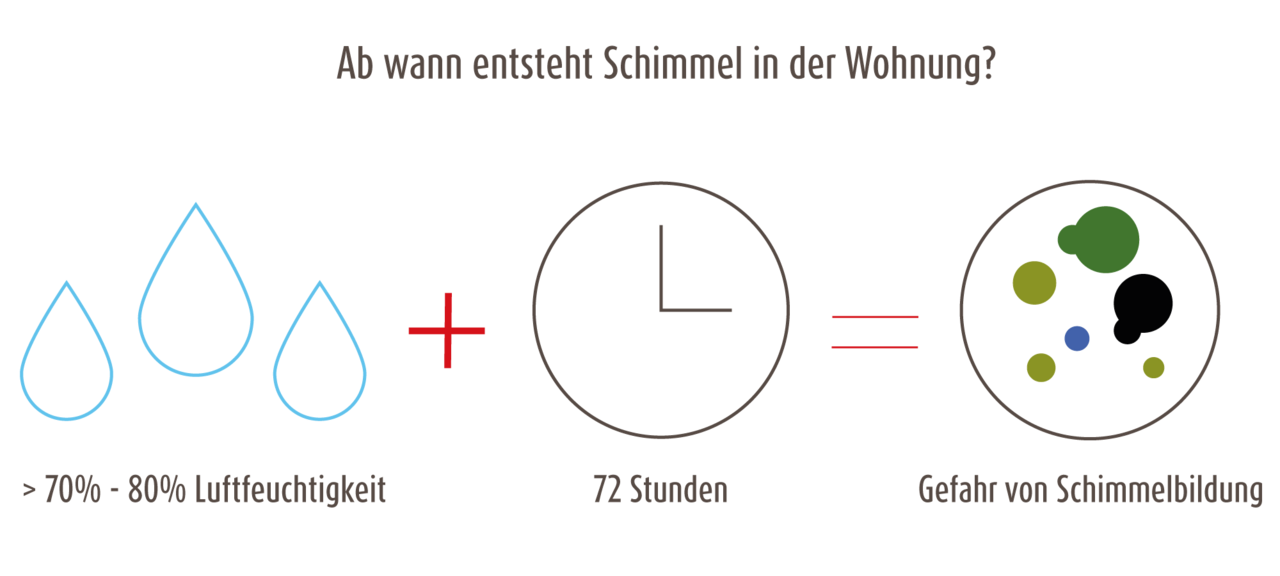 Ab wann entsteht Schimmel