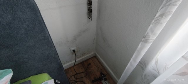 Schimmelspuren und beschädigte Wandöffnung in Zimmerecke, Nahaufnahme