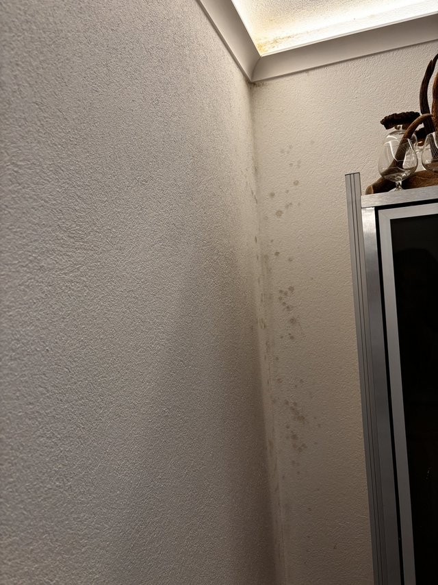 Braune Flecken an Wand in Zimmerecke