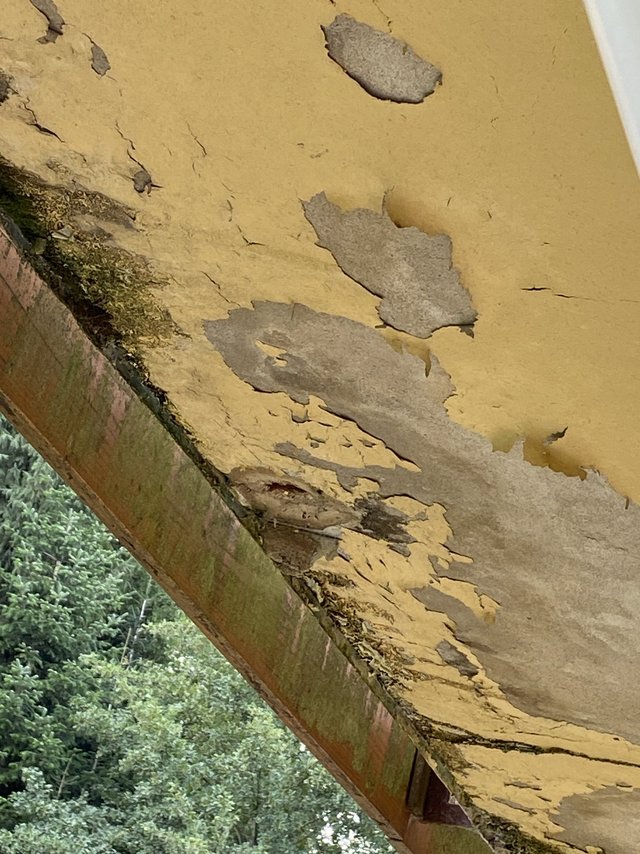 Abblätternde gelbe Farbschicht und Risse an Holzunterseite, dunkle Beläge am Rand