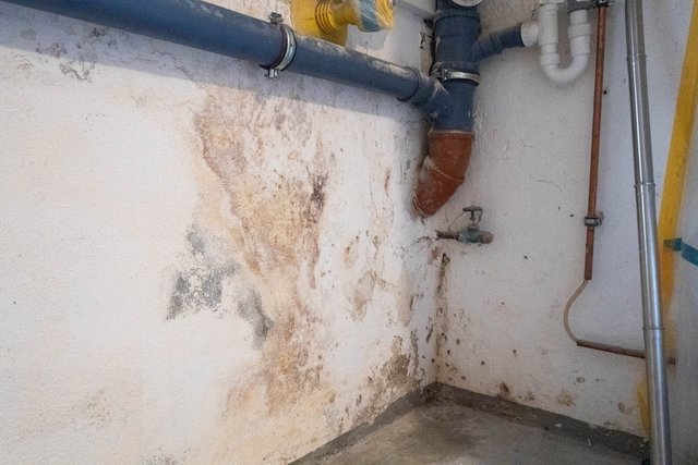 Feuchte Kellerwand mit braunen Verfärbungen und dunklen Flecken unter Rohrleitungen