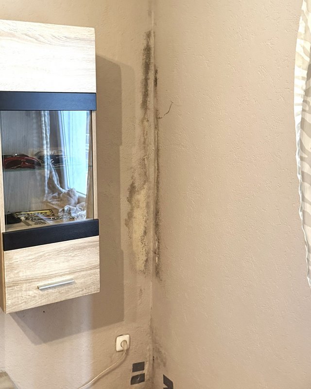 Schimmelbefall an Zimmerecke neben Schrank, Nahaufnahme