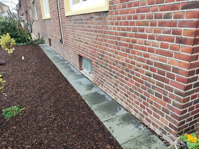 Ziegelwand eines Gebäudes mit Pflasterweg und feuchten Stellen am Sockel