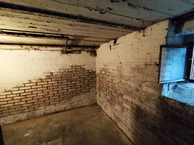 Feuchte Kellerwände mit dunklen Verfärbungen und beschädigter Decke