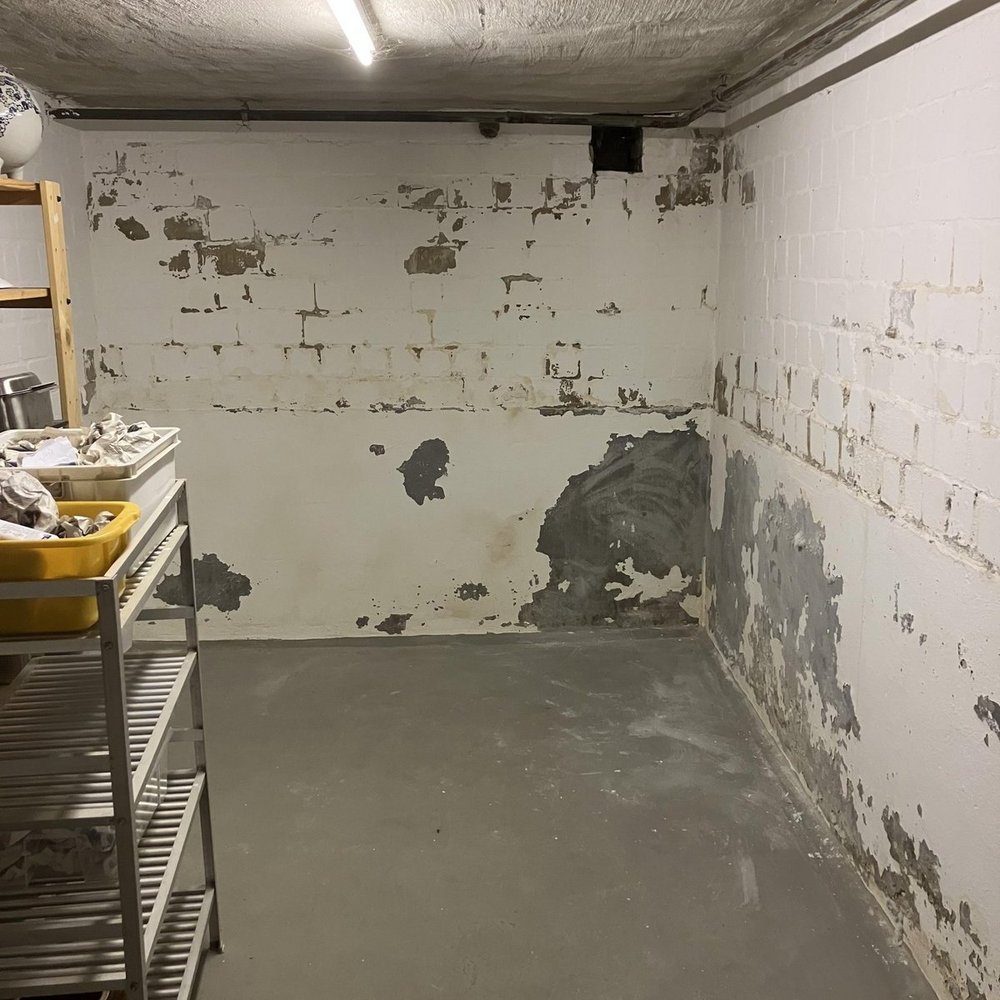 Abgeplatzte Beschichtung und graue Schadstellen an Kellerwänden