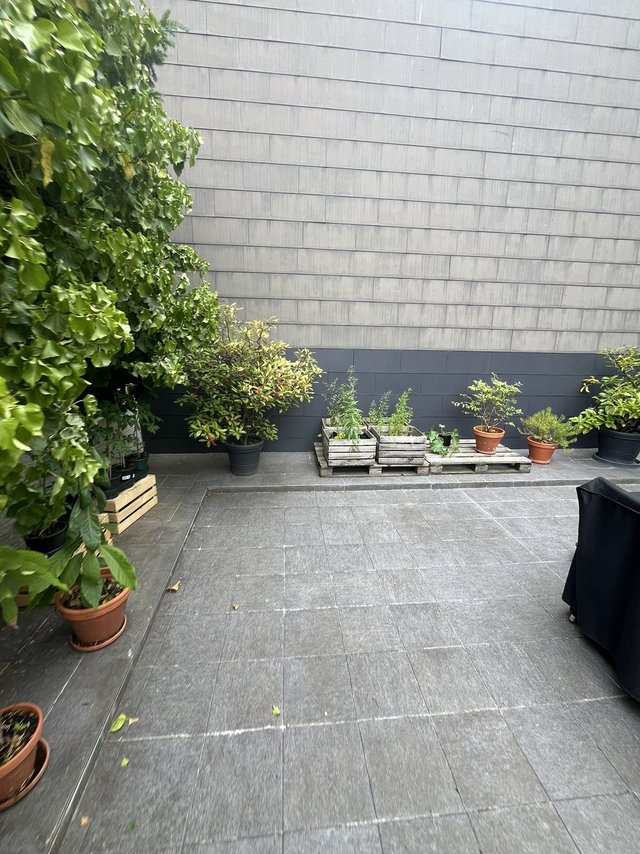 Geflieste Terrasse mit Topfpflanzen vor grauer Hauswand