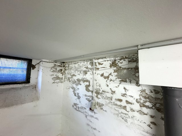 Abblätternde weiße Beschichtung an Kellerwand, Kabel und Rohr entlang der Decke.