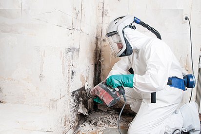 Mould removal