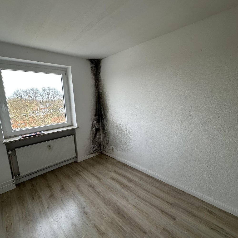 Schwarzer Schimmelbefall in Zimmerecke neben Fenster, bis zur Decke