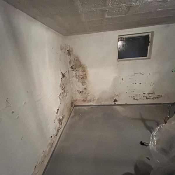 Feuchte Kellerwände mit abplatzendem Putz in leerem Raum