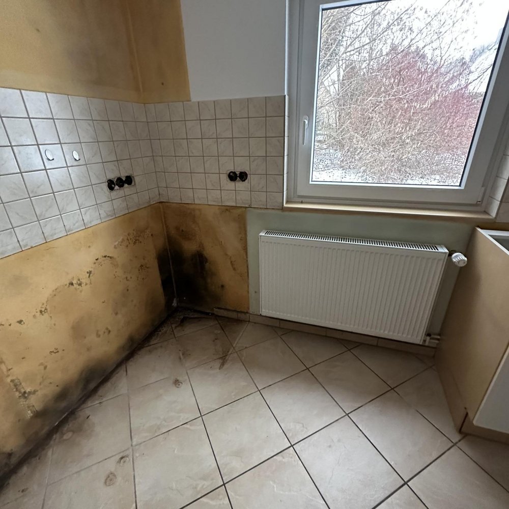 Schwarze Feuchtigkeitsspuren und Schimmel an Wand in leerer Küche