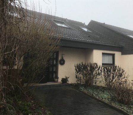 Nebliges Wohnhaus mit dunklem Dach und kahlen Sträuchern im Vordergrund