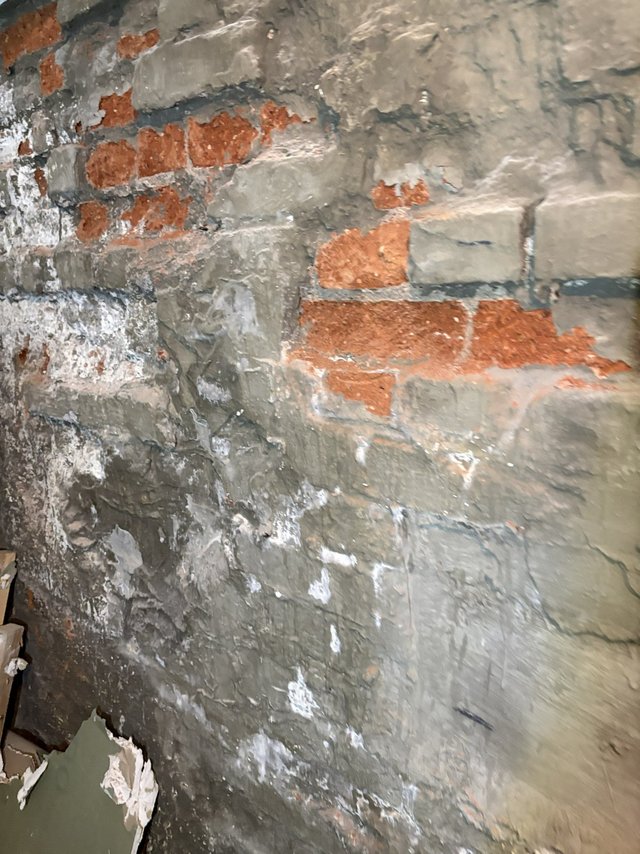 Freigelegte Ziegelwand mit grauer Masse und weißen Ausblühungen, Nahaufnahme