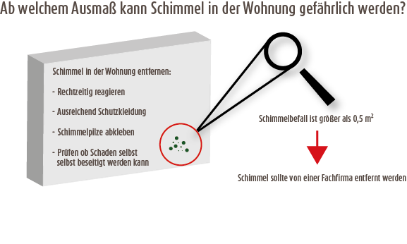 Grafik mit vergrößertem Schimmelbefall an einer Wandfläche