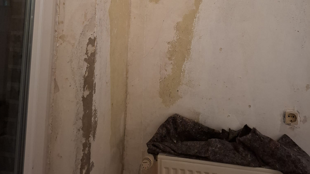 Abgeplatzte Wandflächen mit großflächigen hellen und dunklen Schadstellen